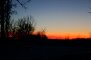 Sunset in Winter